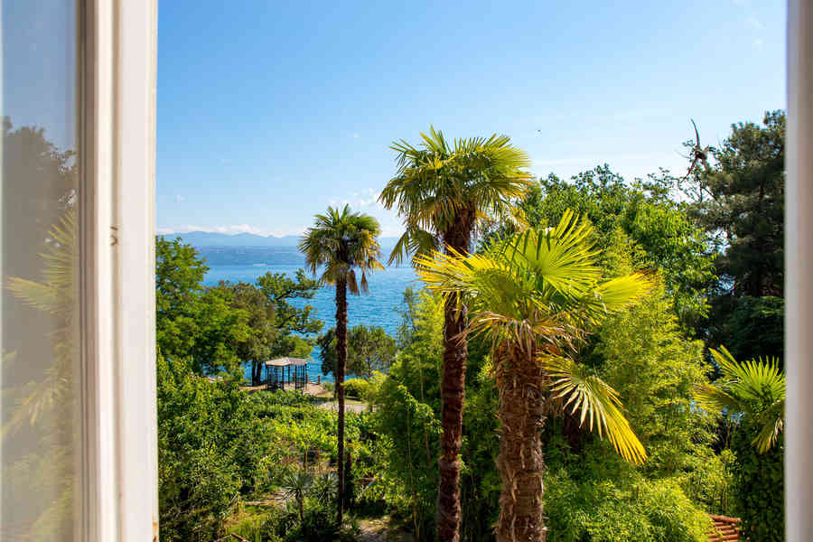 Palm
